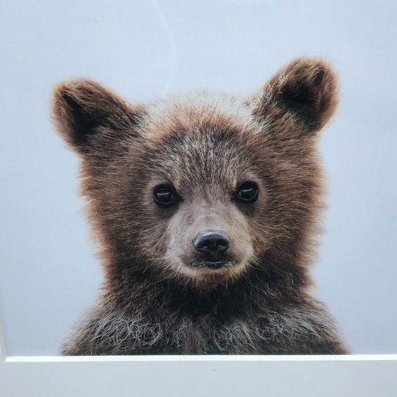 Rustic Wood Frame Bear Cub Portrait Wall Art Nursery Day Care Decor 17”x 14” - Picture 3 of 15